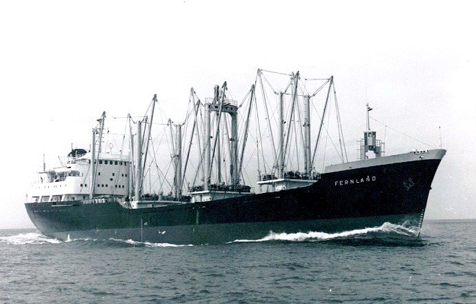LTK00119640320001 FERNLAND