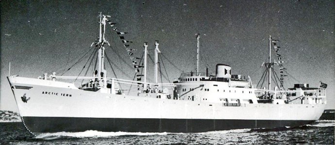 TRS10819580120001 ARTIC TERN