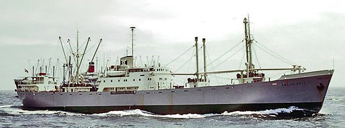 TRS10819590120001 ARCTIC GULL