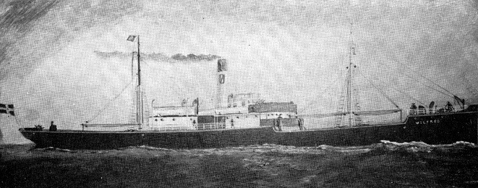TRH10319050120001 WILFRED