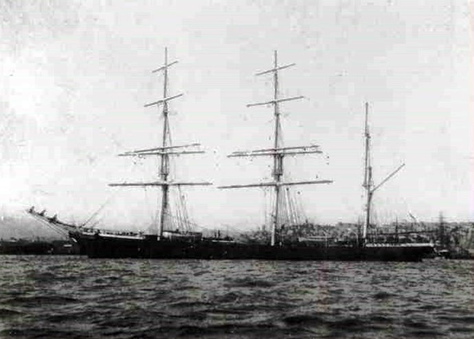 TSD10119050120001 ARGO
